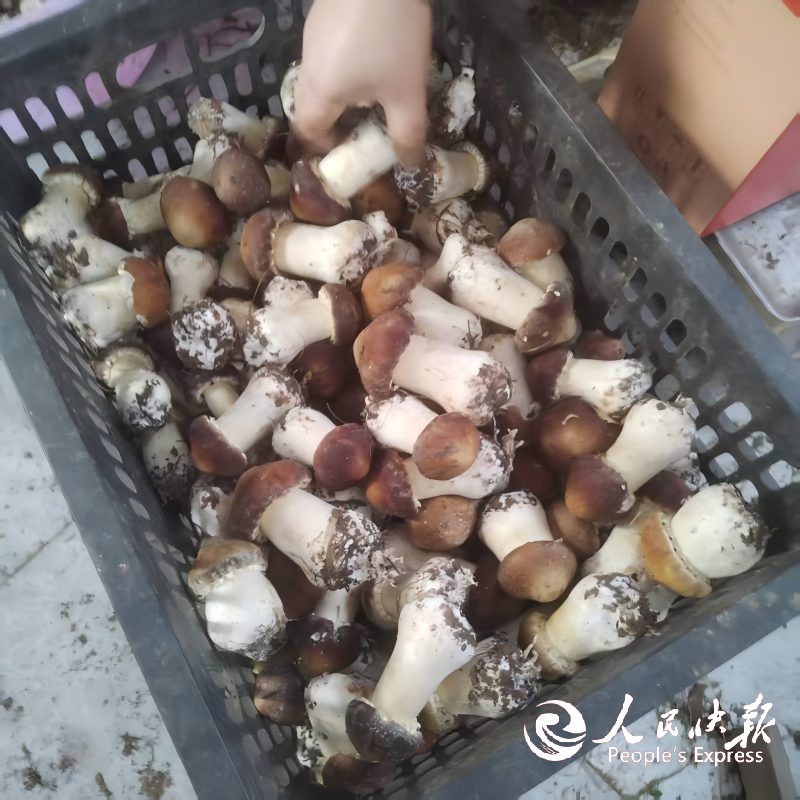 图片1(2).jpg