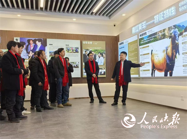 图片3.png