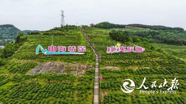 盘活闲置资产  赋能乡村振兴